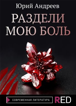 обложка книги Раздели мою боль автора Юрий Андреев