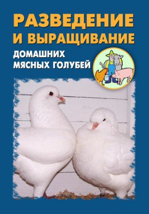 обложка книги Разведение и выращивание домашних мясных голубей автора Илья Мельников