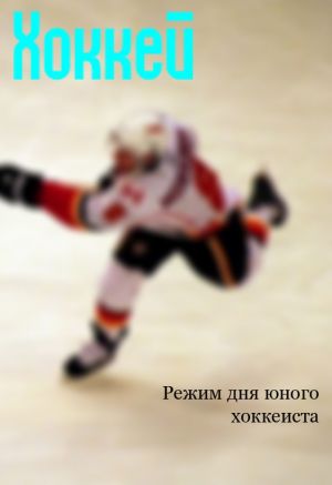 обложка книги Режим дня юного хоккеиста автора Илья Мельников