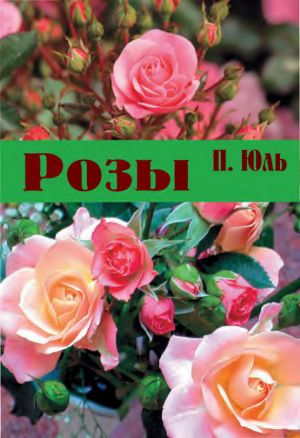 обложка книги Розы автора Петр Юль