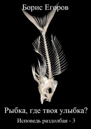 обложка книги Рыбка, где твоя улыбка? Исповедь раздолбая – 3 автора Борис Егоров