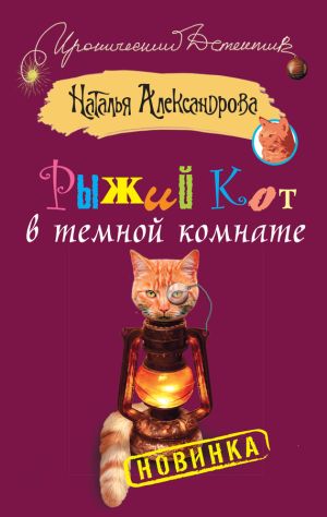 обложка книги Рыжий кот в темной комнате автора Наталья Александрова