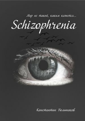 обложка книги Schizophrenia. Мир не такой, каким кажется автора Константин Большаков