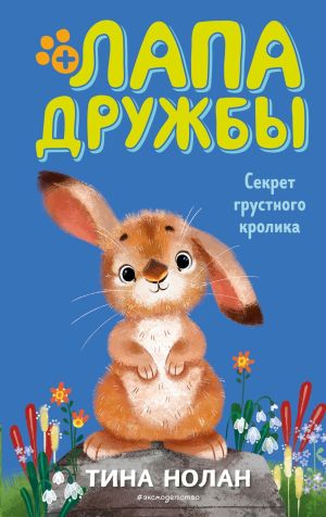 обложка книги Секрет грустного кролика автора Тина Нолан