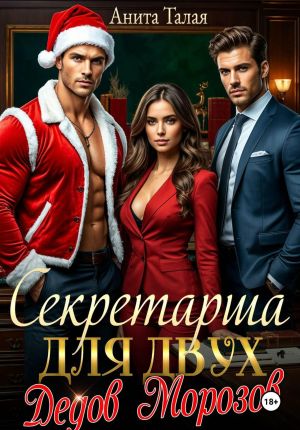обложка книги Секретарша для двух Дедов Морозов автора Анита Талая