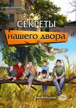 обложка книги Секреты нашего двора автора Валерий Екимов