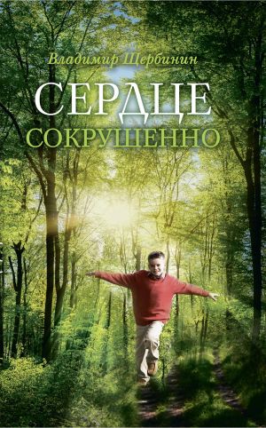 обложка книги Сердце сокрушенно автора Владимир Щербинин