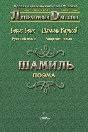 обложка книги Шамиль автора Борис Брик