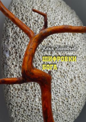 обложка книги ШИФРОВКИ БОГА автора Илья Зиновьев