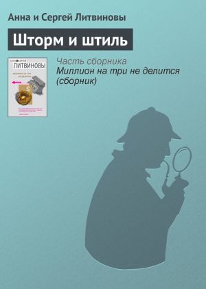 обложка книги Шторм и штиль автора Анна и Сергей Литвиновы