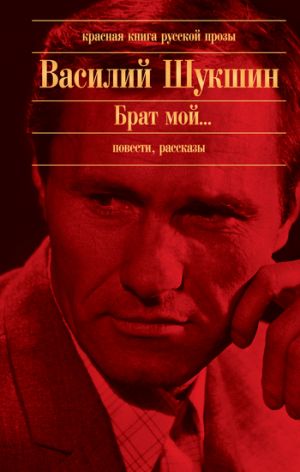 обложка книги Штрихи к портрету автора Василий Шукшин