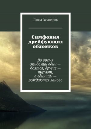 обложка книги Симфония дрейфующих обломков автора Павел Галандров