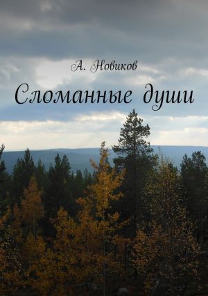обложка книги Сломанные души автора А. Новиков