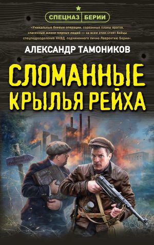 обложка книги Сломанные крылья рейха автора Александр Тамоников