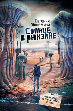 обложка книги Солнце в рюкзаке автора Евгения Мелемина