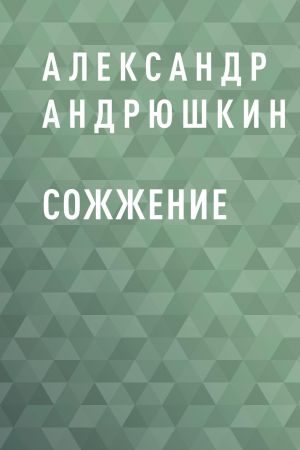 обложка книги Сожжение автора Александр Андрюшкин