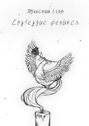 обложка книги Созвездие феникса автора Егор Тульский