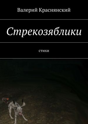 обложка книги Стрекозяблики автора Валерий Краснянский