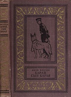 обложка книги Сын Карая автора Яков Волчек