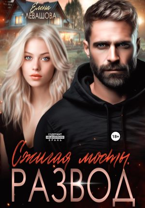 обложка книги Сжигая мосты. Развод автора Елена Левашова