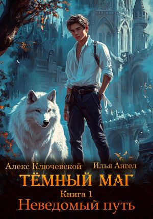 обложка книги Тёмный маг. Книга 1. Неведомый путь автора Алекс Ключевской (Лёха)