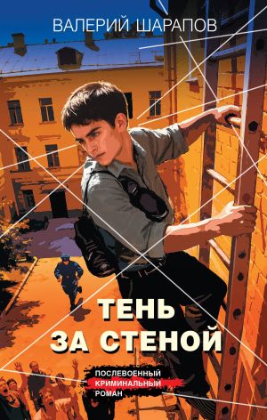 обложка книги Тень за стеной автора Валерий Шарапов