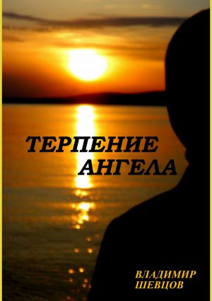 обложка книги Терпение ангела автора Владимир Шевцов