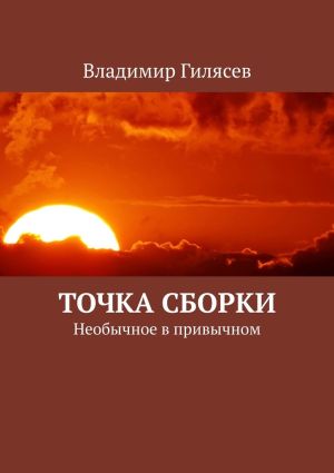 обложка книги Точка сборки. Необычное в привычном автора Владимир Гилясев