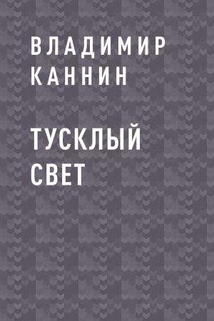 обложка книги Тусклый свет автора Владимир Каннин