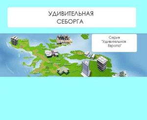 обложка книги Удивительная Себорга автора Наталья Ильина