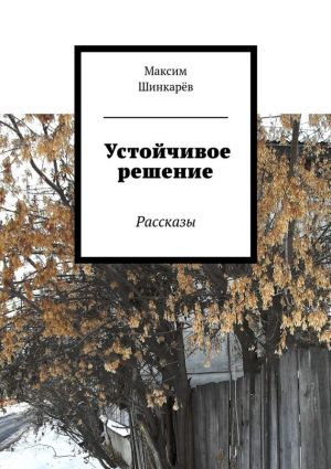 обложка книги Устойчивое решение автора Максим Шинкарёв