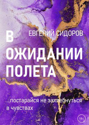 обложка книги В ожидании полета автора Евгений Сидоров