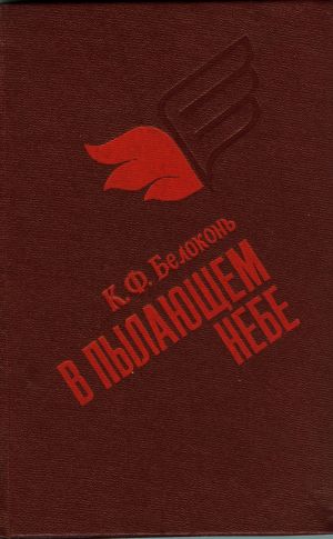 обложка книги В пылающем небе автора Кузьма Белоконь