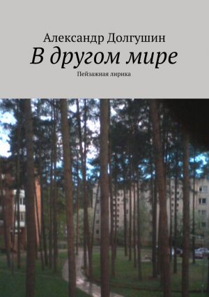 обложка книги В другом мире автора Александр Долгушин