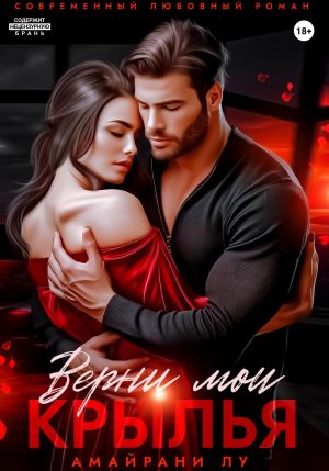 обложка книги Верни мои крылья автора Амайрани Лу