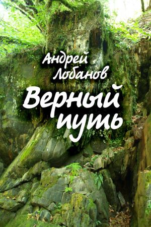 обложка книги Верный путь автора Андрей Лобанов