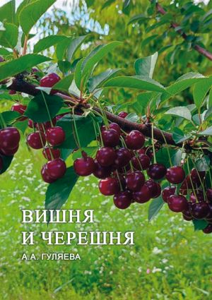 обложка книги Вишня и черешня автора А. Гуляева