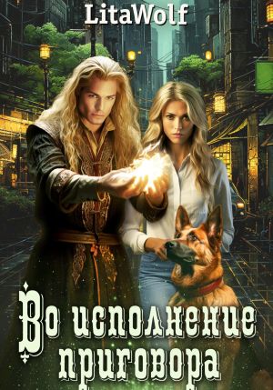обложка книги Во исполнение приговора автора LitaWolf