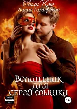 обложка книги Волшебник для серой мышки автора Лилия Тимофеева