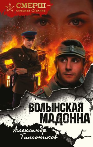 обложка книги Волынская мадонна автора Александр Тамоников
