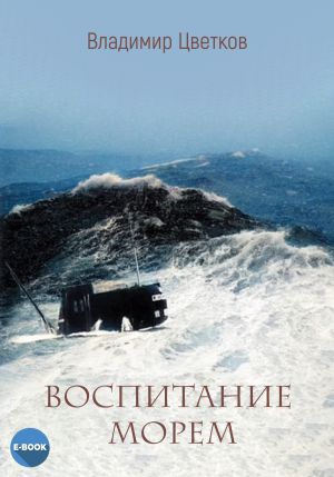 обложка книги Воспитание морем автора Владимир Цветков