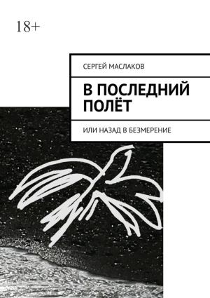 обложка книги В последний полёт. Или Назад в Безмерение автора Сергей Маслаков