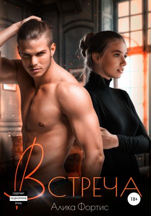 обложка книги Встреча автора Алика Фортис
