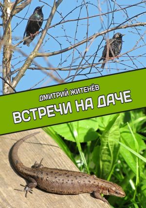 обложка книги Встречи на даче автора Дмитрий Житенёв