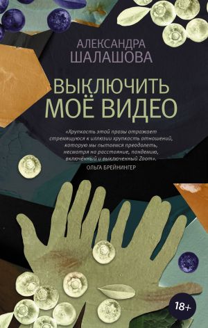 обложка книги Выключить моё видео автора Александра Шалашова