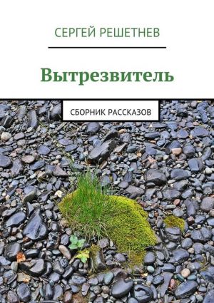 обложка книги Вытрезвитель автора Сергей Решетнёв
