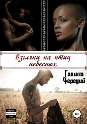 обложка книги Взгляни на птиц небесных автора Галина Чередий