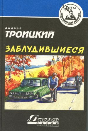 обложка книги Заблудившиеся автора Андрей Троицкий