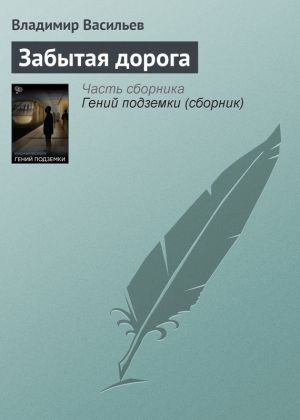 обложка книги Забытая дорога автора Владимир Васильев