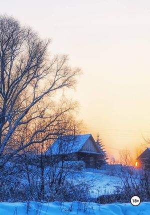 обложка книги Замерзшая душа автора Алёна Берндт
